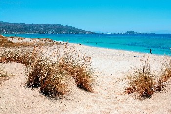 naxos events